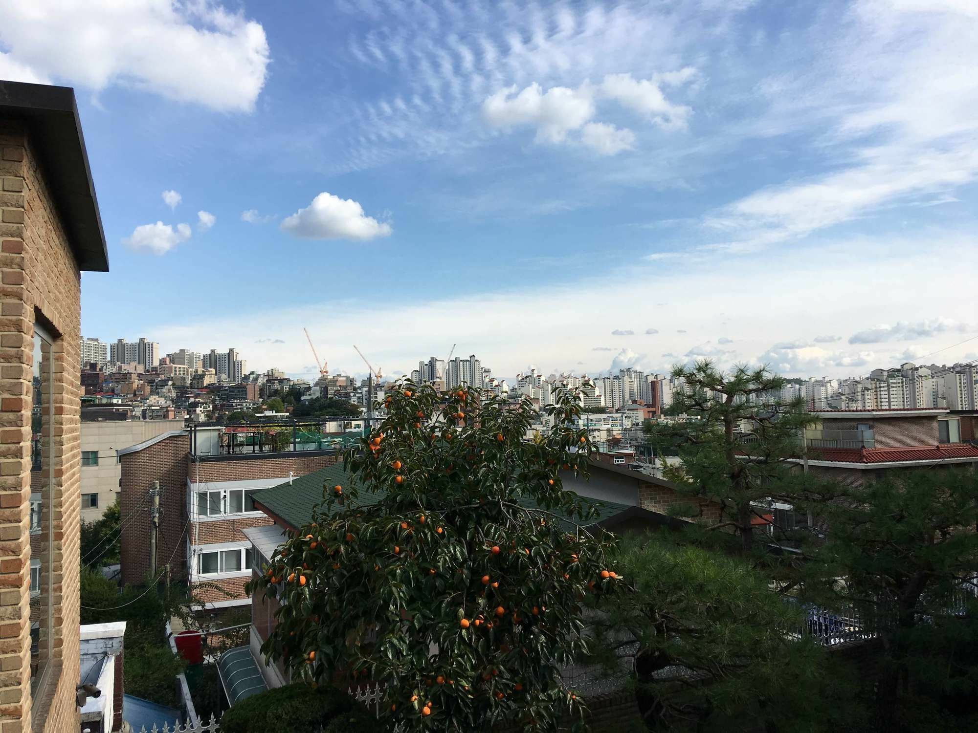 فندق بازل ستاي هاوس سيول المظهر الخارجي الصورة